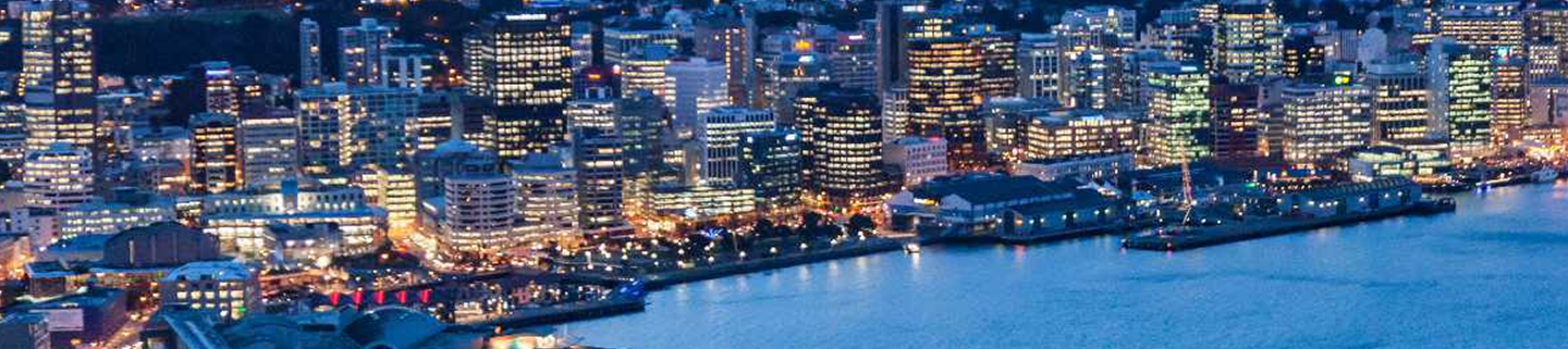 New Zealand Banner